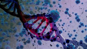   الصحة العالمية تؤكد أهمية مشاركة المعلومات حول التسلسل الجيني لفيروس كورونا