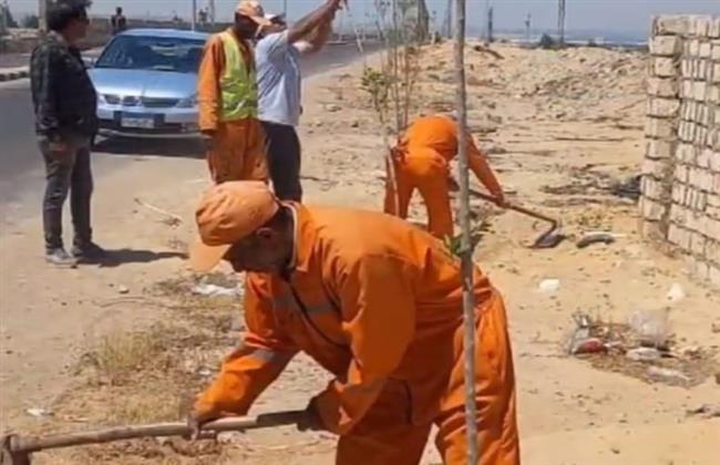 حياة كريمة.. زرع 100 مليون شجرة بالبحيرة لتحسين الصحة العامة للمواطنين 