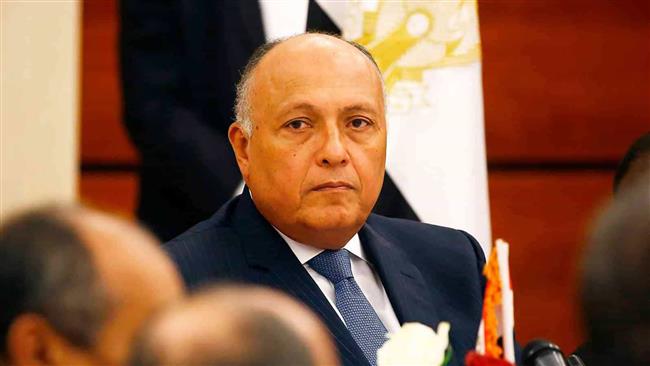 شكري يعرب عن استعداد مصر للتعاون مع المجتمع الدولي من أجل استضافة مركز عالمي لتوريد وتخزين الحبوب