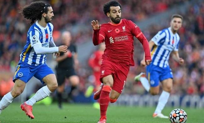 بث مباشر.. مشاهدة مباراة ليفربول وبرايتون في الدوري الإنجليزي