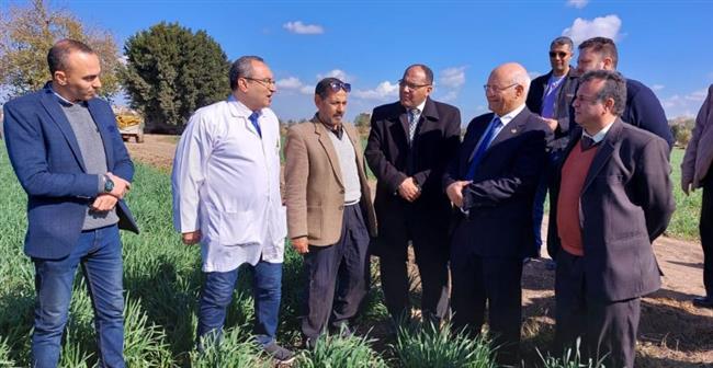 رئيس جامعة بنها يتفقد مزارع القمح والوحدات الإنتاجية بكلية الزراعة 