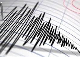   زلزال يضرب "جاوة" الإندونيسية