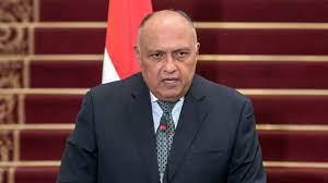 شكري: مصر أول دولة عربية تعترف باستقلال الصين في خمسينيات القرن الماضي