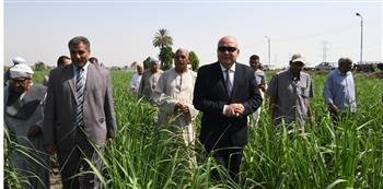   أول حقل إرشادي لزراعة محصول قصب السكر بقرية المخادمة بقنا
