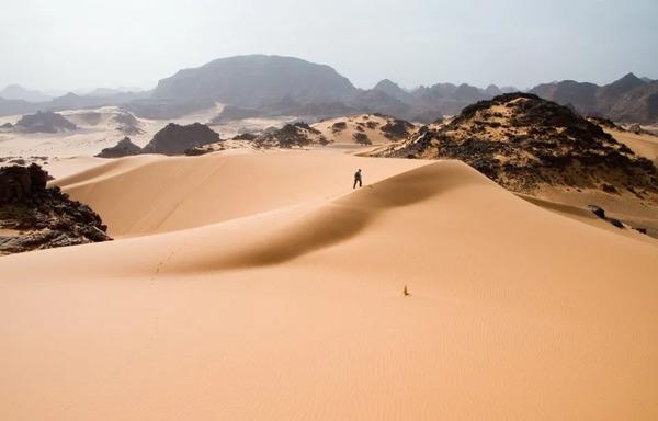 تقرير أممي: «الحائط الإفريقي الأخضر» لا يزال عاجزا عن وقف زحف رمال الصحراء الكبرى