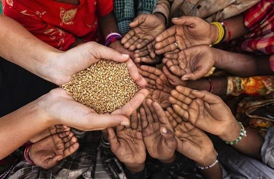 «أزمة الغذاء».. الكابوس الأسوأ في 2023