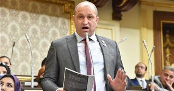 عضو بـ"التنسيقية": المواطن المحب لبلده يعلم جيدا أن العالم كله يعاني من الأزمة الاقتصادية وليس مصر فقط