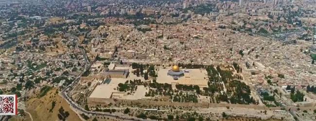 خبيرة في الطاقة المتجددة: الربط الكهربائي بين الدول المجاورة له تبعات فنية ومخاطر كبيرة 