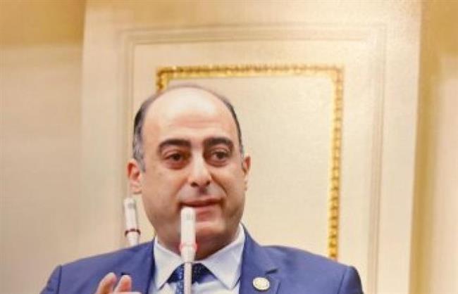 نائب يقترح تخفيض ٥٠٪ من فواتير الكهرباء والمياة والغاز لذوي الهمم 