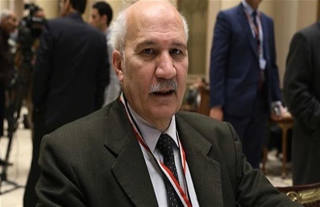 سيد عبدالعال لـ كلام في السياسة: إعمال مواد الدستور مضمون شعار الجمهورية الجديدة 