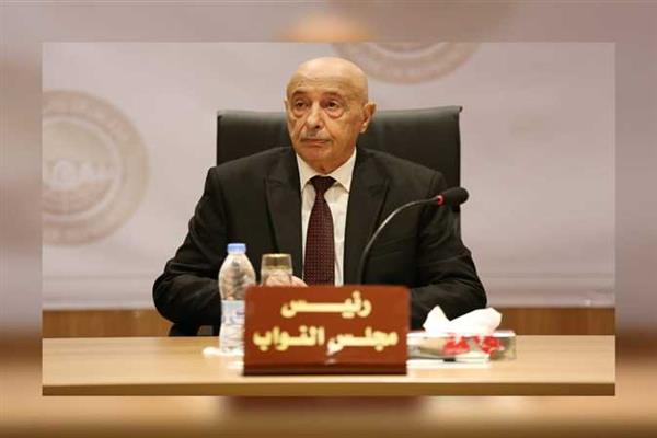 عقيلة صالح يكشف لـ «القاهرة الإخبارية» موعد الانتخابات الليبية