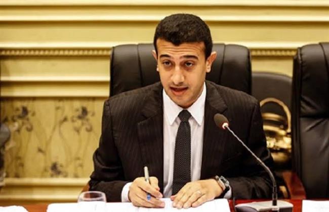 طارق الخولي: عمل لجنة العفو الرئاسي قوة دفع لحالة الحوار الوطني