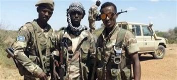  الصومال: تصفية 21 إرهابيا في منطقة حودلي وتحرير 3 مدن رئيسية من الخوارج