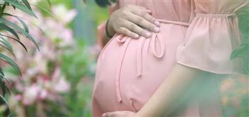   مراجعة علمية: إصابة الحوامل بفيروس كورونا يزيد من خطر وفيات الأمهات 