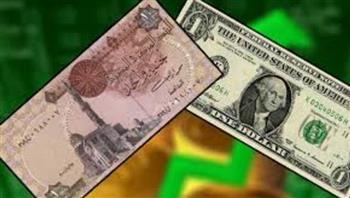  استقرار أسعار صرف الدولار مقابل الجنيه المصري في بداية التعاملات