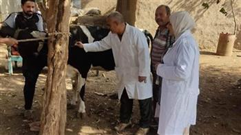   "بيطري بني سويف": تحصين أكثر من 32 ألف رأس من الماشية ضد الأمراض الوبائية