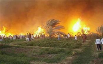   حريق يلتهم مزرعة بطريق مصر إسكندرية الصحراوي