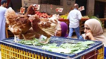 الفراخ بـ 45 جنيهاً.. أسعار اللحوم والبيض اليوم