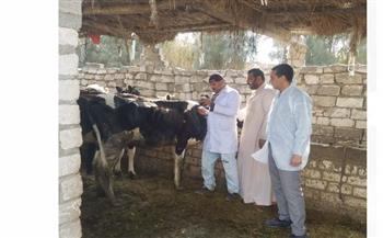   " بيطري البحيرة": علاج 12 ألف رأس ماشية بقرى المحافظة 
