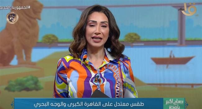 الأرصاد: قيم الحرارة أعلى من معدلاتها الطبيعية بـ4 درجات (فيديو) 