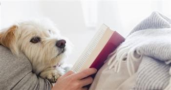 أفكار للاستمتاع بالوقت مع أسرتك