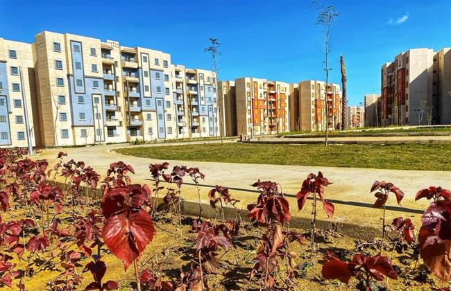 فتح باب التقدم لترخيص ٨٨ سيارة للعمل بمنظومة النقل الداخلي بـ"أكتوبر الجديدة "..  غدا