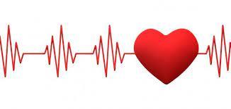   كل ما تريد معرفته عن آلية تنظيم ضربات القلب