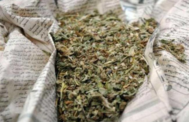 ضبط كمية من نبات البانجو المخدر بحوزة شخص بالقاهرة بقصد الاتجار