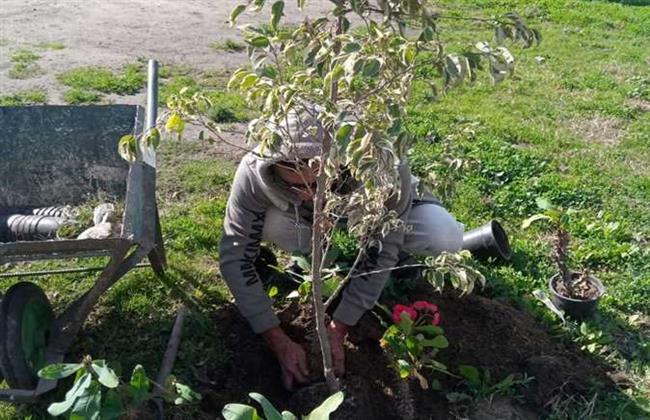 رفع كفاءة وتطوير الحدائق والمنتزهات العامة بالإسكندرية 