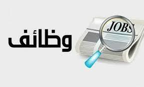 برواتب 3 آلاف جنيه.. محافظة الجيزة تعلن عن وظائف خالية