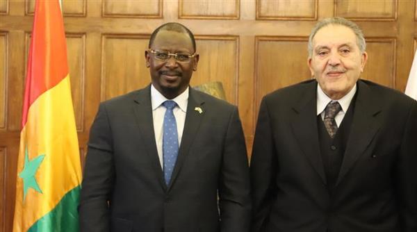 سفير السنغال: نفتح الأبواب لكل المستثمرين المصريين