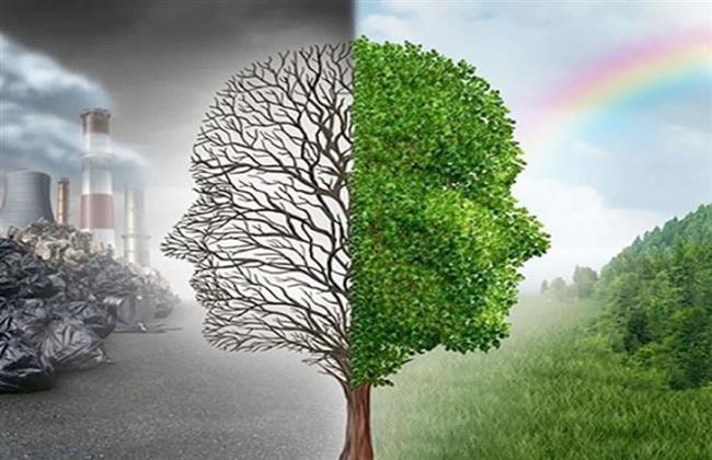 أستاذ بجامعة الزقازيق: التغيرات المناخية تؤثر على نوع الغذاء وجودته