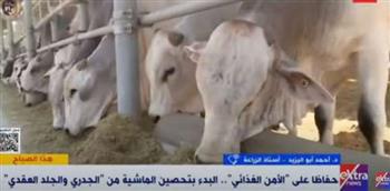   أستاذ زراعة بجامعة عين شمس: مصر تمتلك 4 ملايين جرعة لتحصين الماشية