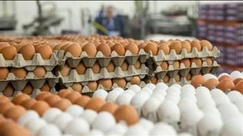 الزراعة تعلن انخفاض سعر كرتونة البيض