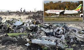 الطيور سبب تحطم طائرة بوينج 737 ماكس في إثيوبيا