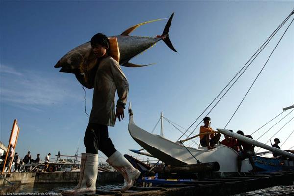 الفلبين تؤكد للصين أحقية الصيادين الفلبينيين في الصيد داخل المياه الاقليمية الفلبينية
