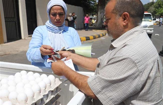 مديرية الطب البيطري بالقليوبية: ننتج 30 مليون بيضة "أورجانيك" سنويا