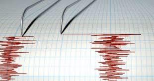   زلزال بقوة 5.8 درجة على مقياس ريختر يضرب جنوب شينجيانج فى الصين