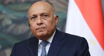 شكري: نسعى للوصول إلى وضع يحافظ على وحدة الأراضي السورية