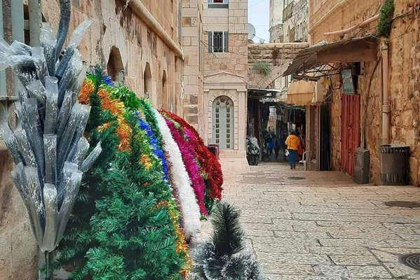 باحث في التراث لـ"حديث القاهرة": شجرة "الكريسماس" مصرية 100%
