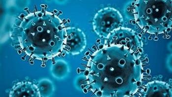   وزير الصحة: إصابة فيروس كورونا «بسيطة» ولا تستدعي التدخل الطبي