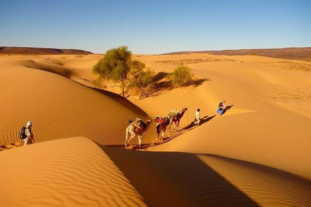 موريتانيا.. لوحة فنية تنطق بجمال الطبيعة وسحرها