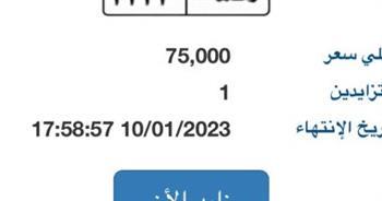 مزاد إلكترونى على لوحات سيارات مميزة بـ450 ألف جنيه