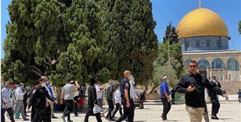 مستوطنون يقتحمون الأقصى والاحتلال يعتقل 4 فلسطينيين من القدس والخليل