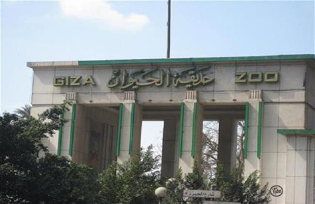 « الزراعة» تنفى نقل ملكية حديقتى الحيوان والأورمان لأى جهة أو دولة أخرى