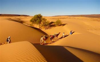   موريتانيا.. لوحة فنية تنطق بجمال الطبيعة وسحرها