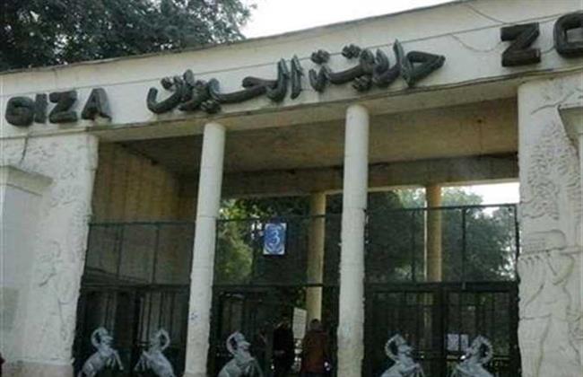 إكسترا نيوز تعرض تقريرا حول دوافع تطوير حديقة الحيوان 