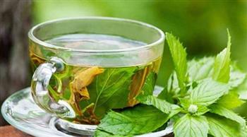   دراسة حديثة: مستخلص الشاى الأخضر قد يؤدى إلى تلف الكبد 