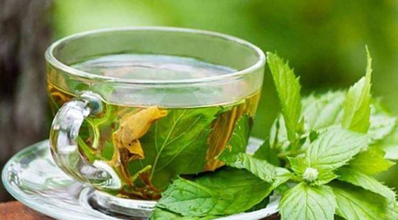 دراسة حديثة: مستخلص الشاى الأخضر قد يؤدى إلى تلف الكبد 