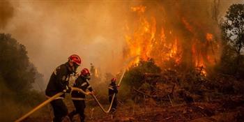   إندونيسيا تنشر 130 فردًا لإخماد حرائق الغابات في جبل لاو بمقاطعة جاوة الشرقية